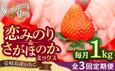 [全3回定期便][2月3月4月お届け]壱岐島産いちご1kg (250g×4パック)恋みのり・さがほのかミックス 