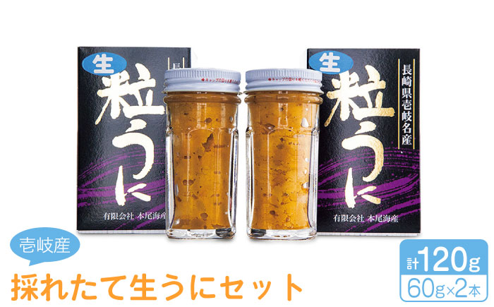 採れたて生うにセット 計120g [壱岐市][本尾海産][JAR003] 22000 22000円 2万円