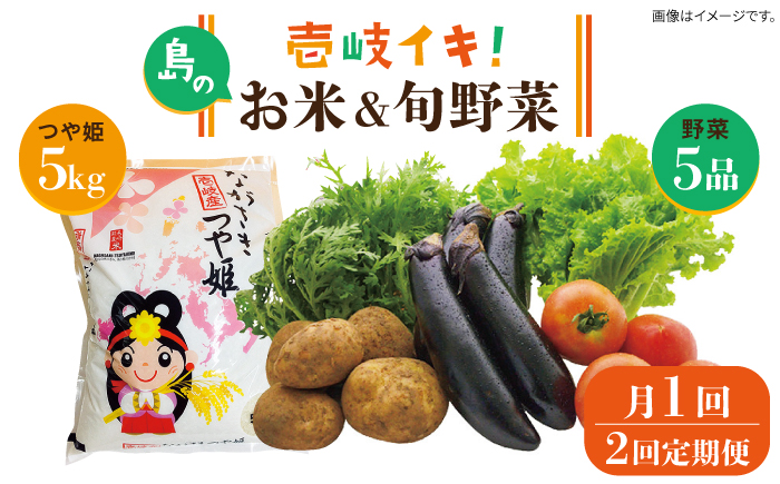 [全2回定期便]壱岐産米(つや姫)5kg・旬の野菜 5品[壱岐市][壱岐市農業協同組合]お米 季節 セット ごはん 