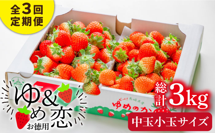 [先行予約受付中][全3回定期便][R6年2月〜4月出荷] お徳用 いちご 1kg 苺 バラ詰め ゆめのか 恋みのり ゴロゴロ生 イチゴ 中玉小玉サイズ [壱岐市][蒼花] 