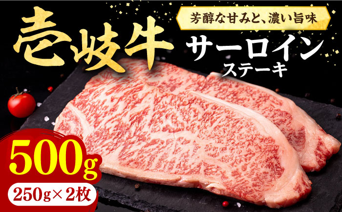 壱岐牛 サーロインステーキ 500g(250g×2枚)[壱岐市][株式会社イチヤマ] 肉 牛肉 サーロイン ステーキ 焼肉 BBQ [JFE004] 30000 30000円