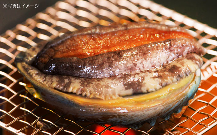 【日付指定必須】五島産養殖 活きアワビ・バーベキューセット 30個セット 約750g 五島市/（有）都工業 BBQ あわび 鮑 [PEX007]