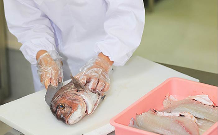 【12回定期便】【五島列島の新鮮真鯛】鯛茶漬け8食（あおさ塩だし） 五島市/NEWパンドラ[PAD014]