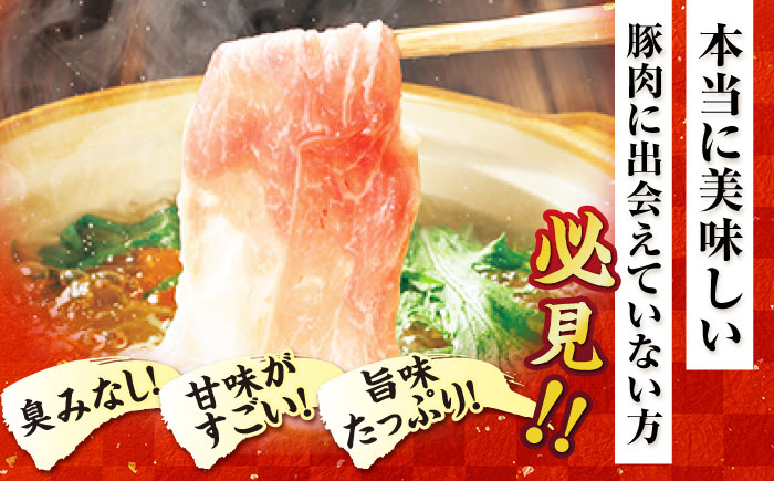 【3回定期便】五島美豚薄切り1kg（ロース500g/バラ500g） 五島市/ごとう農業協同組合[PAF008] 冷凍 国産豚 豚肉 ブランド豚