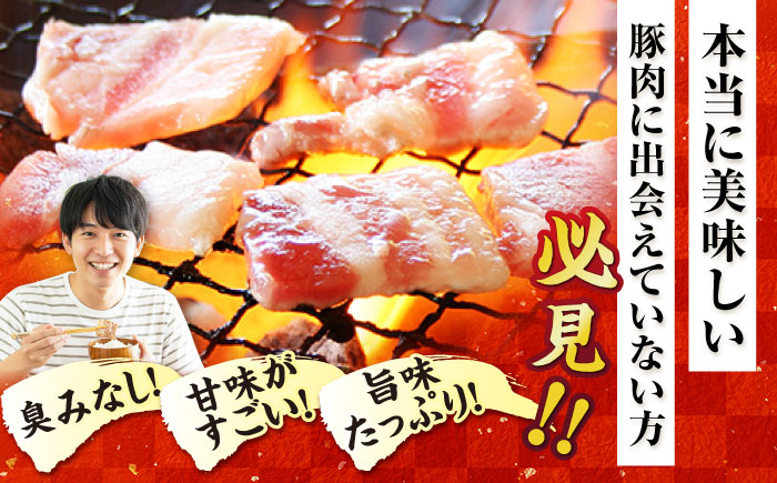 【12回定期便】五島美豚焼肉1kg（ロース500g バラ500g） 五島市/ごとう農業協同組合[PAF015]