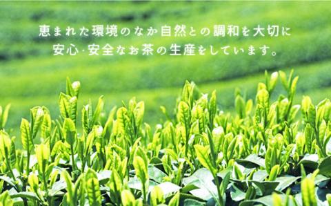五島茶（290ml×24本入） 緑茶 ボトル 五島市/ごとう農業協同組合 [PAF017]