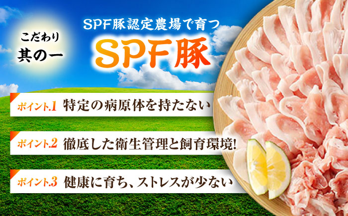 【12回定期便】五島美豚 薄切り2kg (ロース1kg/バラ1kg) 五島市/ごとう農業協同組合 [PAF060]