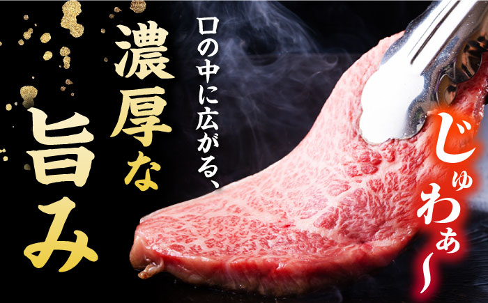 【12回定期便】五島牛 サーロインステーキ 210g×2 牛肉 肉 ブランド肉 五島市/ごとう農業協同組合 [PAF075]