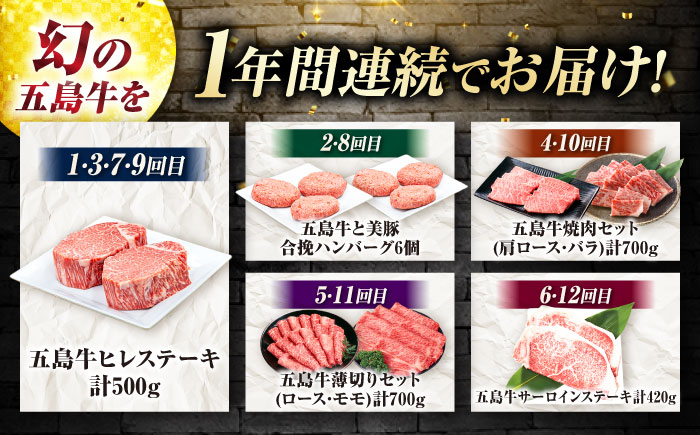【12回定期便】お届け内容が毎月変わる五島牛定期便（2名向け）五島市/ごとう農業協同組合 [PAF104]