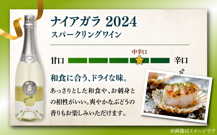 7日程度発送）スパークリングワイン ナイアガラ2024 マスカット ぶどう 家飲み 酒 お酒 ワイン 五島市/五島ワイナリー [PAG032] スピード 年内発送 最短 最速 発送