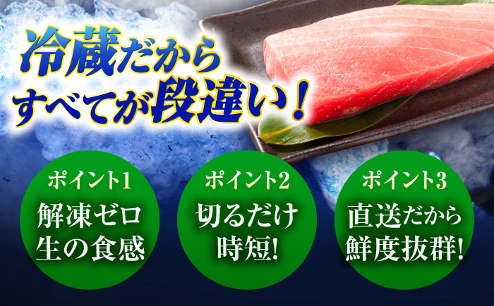 【冷蔵】長崎県五島産 近大マグロ約500g （大トロ/中トロ/赤身） 五島市/五島ヤマフ[PAK010]マグロ