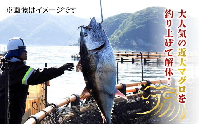 長崎県五島産 近大マグロ （赤身）刺身ブロック 五島市/五島ヤマフ[PAK019]