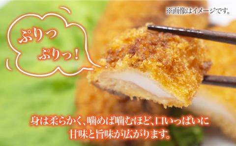 アオリイカ 一夜干し1kg以上（1-5尾） 五島市/奈留町漁業協同組合[PAT001]