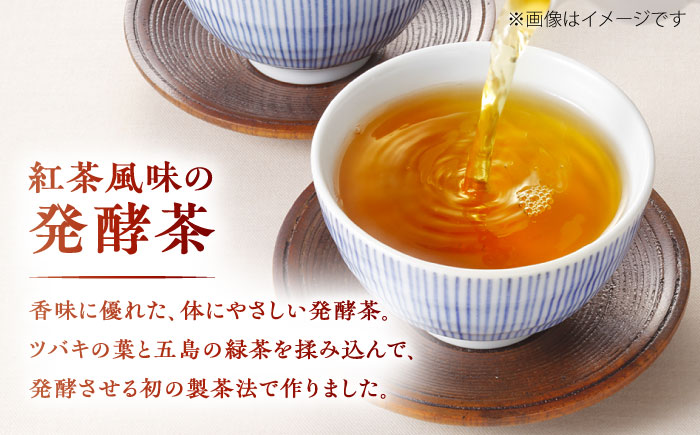 7日程度発送）五島つばき茶２１パック【グリーンティ五島】[PAV018]