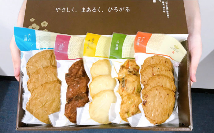 【全6回定期便】揚技（あげわざ） かまぼこ 蒲鉾 【しまおう】 [PAY052]