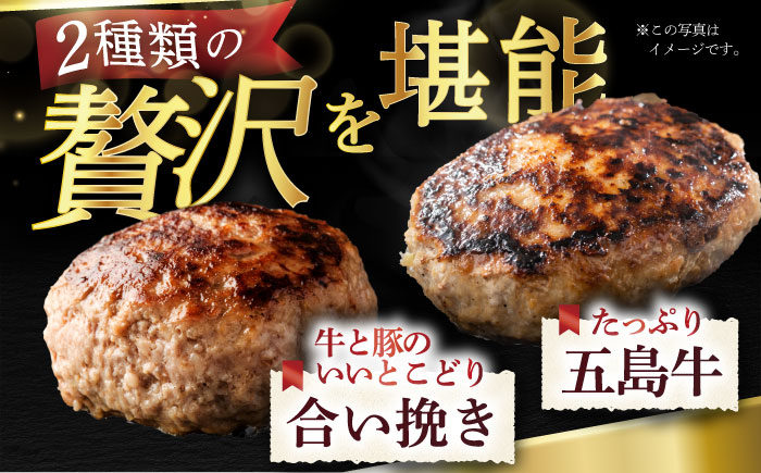 五島牛 ハンバーグ2種 8個（各4個） 五島市/ニク勝[PBF005]ハンバーグ