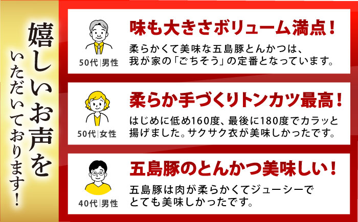 【3回定期便】五島豚のとんかつ600g（100g×6枚） 五島市/ニク勝[PBF014]  カツ トンカツ 国産 豚肉 豚 ぶた おかず 冷凍
