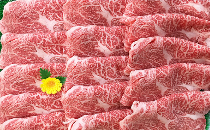 【6回定期便】五島牛 肩ロース600g（焼肉用/すき焼用） 五島市/ニク勝[PBF017]  やきにく 焼肉 すきやき 牛肉 牛 にく 肩ロース 国産 冷凍