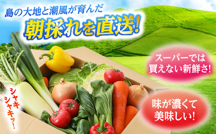 【全10回定期便】旬の野菜セット（7-10品目10kg未満）野菜 やさい 詰め合わせ セット五島市/やぁしゃ便 [PBG001]