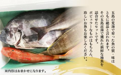 旬の地魚セット2kg（エラ/内臓処理済） 五島市/五島FF[PBJ010]