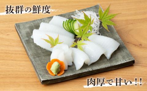 【五島列島産】最高級アオリイカ1kg-1.2kg（下処理前） 五島市/マルセイ水産[PBT003]  刺身 冷凍 いか 海鮮 あおりいか 海産物