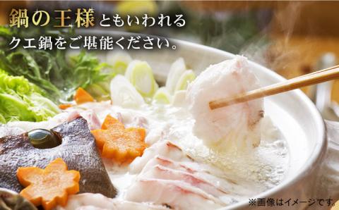 【数量限定】100セット限り 五島 クエ鍋セット 800g 刺身 ポン酢付き 五島市/心誠 [PCG001]