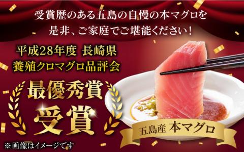 【6回定期便】本マグロブロック詰合せ1kg（養殖） 五島市/奥浦海鮮直売所[PCL010]  柵 刺身 マグロ まぐろ 鮪 さしみ とろ トロ 刺し身 冷凍 魚 鮮魚刺身柵