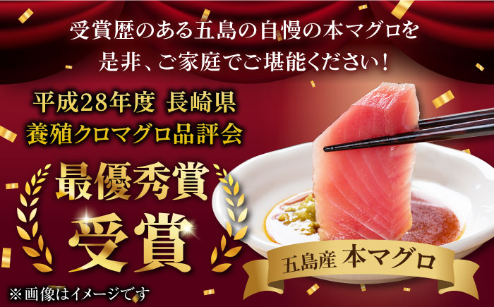 本マグロブロック詰合せ600g（養殖）五島市/奥浦海鮮直売所[PCL012]  柵 刺身 マグロ まぐろ 鮪 さしみ とろ トロ 刺し身 冷凍 魚 鮮魚 刺身柵