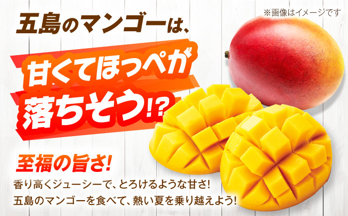 【先行予約】栄養満点 五島産完熟マンゴー (2玉入)五島市/HPIファーム [PCP002]