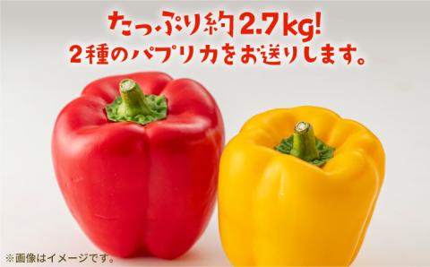 【肉厚ジューシー】五島のパプリカ 約2.7kg 五島市/HPIファーム [PCP003]