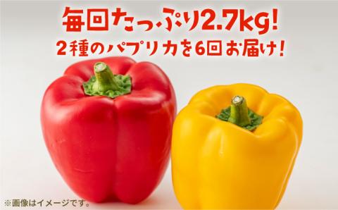 【全6回定期便】 五島のパプリカ 約2.7kg 五島市/HPIファーム [PCP005]
