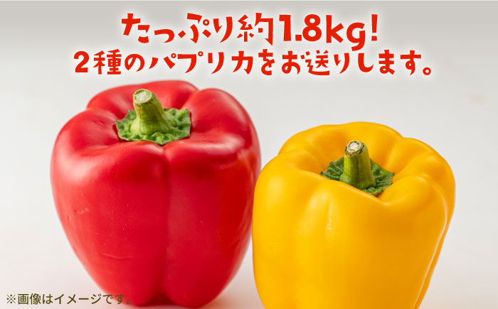 【肉厚ジューシー】五島のパプリカ 約1,8kg 五島市/HPIファーム [PCP008]