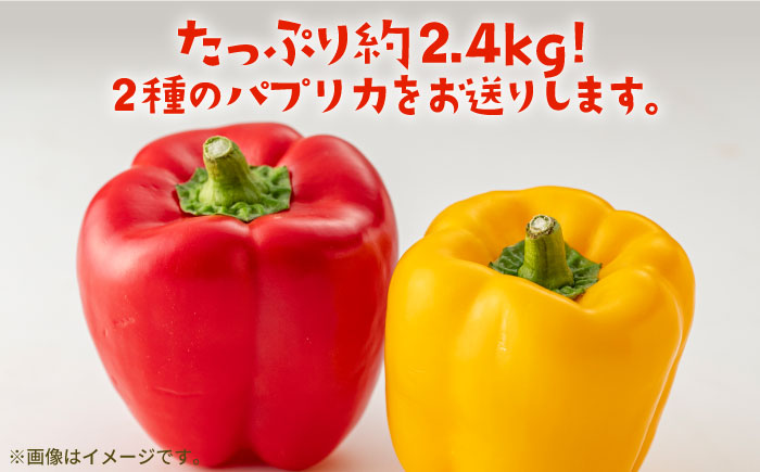 【肉厚ジューシー】五島のパプリカ 約2.4kg 五島市/HPIファーム [PCP009]