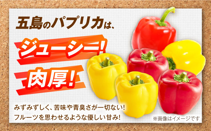 【全12回定期便】パプリカと旬の野菜・フルーツ詰め合わせ 五島市/HPIファーム [PCP014]