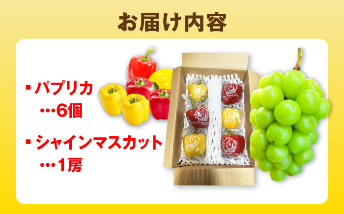 【2026年発送】シャインマスカットとパプリカ 五島市/HPIファーム ブドウ ぶどう 野菜 果物 [PCP015]