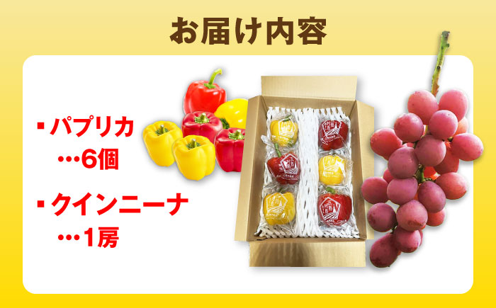 【2026年発送】クインニーナとパプリカ 五島市/HPIファーム ブドウ ぶどう 野菜 果物 [PCP016]
