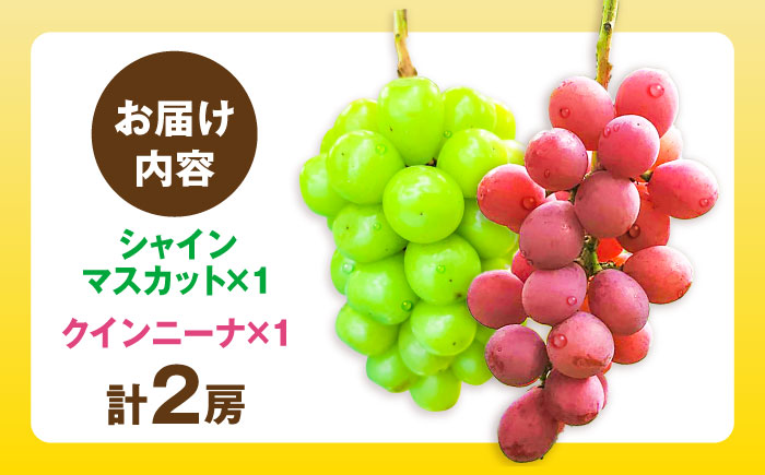 シャインマスカット1房＆クイーンニーナ1房 五島市/HPIファーム [PCP019]
