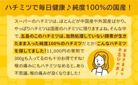 【純度100％】五島産日本ミツバチ蜂蜜【五島市日本ミツバチ振興会】[PCQ001]