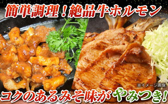 【五島のお肉3種】五島牛ホルモン＆五島豚ロースみそ漬＆五島豚スライスみそ漬 五島市/肉のマルヒサ[PCV010]   冷凍 国産牛 国産豚 ブランド 詰め合わせ