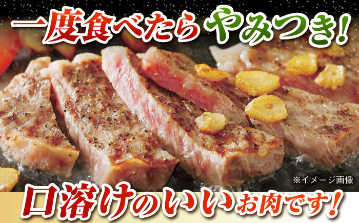 【12回定期便】五島牛 サーロインステーキ500g（250g×2枚） 五島市/肉のマルヒサ[PCV029]