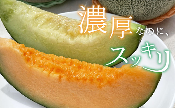 【先行予約】【2026年6月順次発送】やしろ農園の椿メロン 赤肉 緑 メロン フルーツ 果物 五島市/いきいきファーム [PCY008]