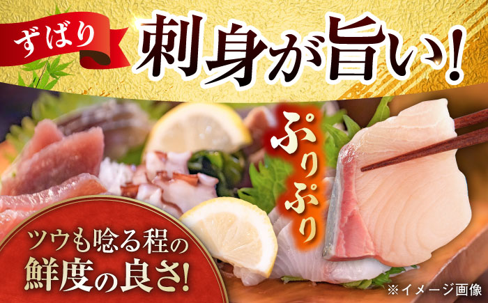 【五島列島直送】朝獲れ高級鮮魚セット4kg 五島市 / 鯛福丸水産[PDP003]  魚 鮮魚 セット 海鮮 直送 さかな 詰合せ 冷蔵