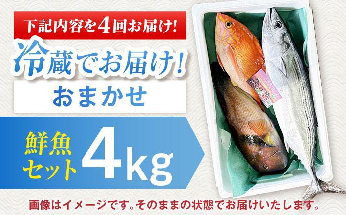 【全4回定期便】【五島列島直送】朝獲れ鮮魚セット4kg 五島市/鯛福丸水産[PDP014]   魚 鮮魚 セット 海鮮 直送 さかな 詰合せ 冷蔵
