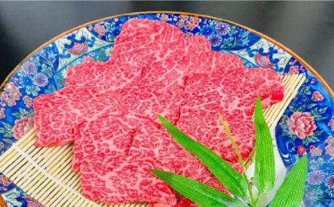 【日時指定必須】長崎和牛 五島牛 松花堂焼肉セットB（480g）五島市/鬼岳牧場[PEK034] 国産牛 牛肉 ブランド牛 セット