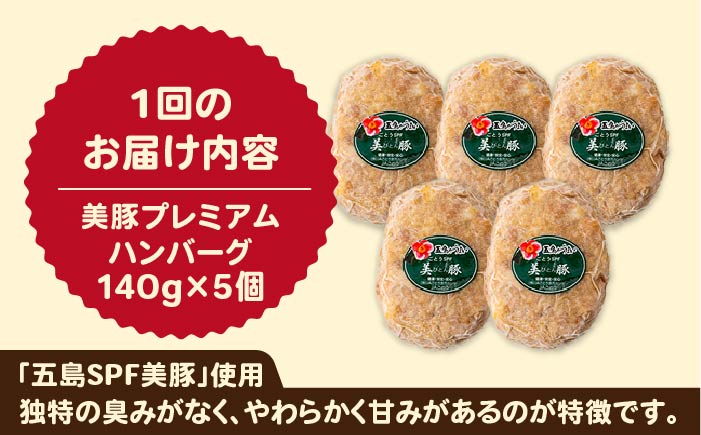 【6回定期便】五島美豚プレミアムハンバーグ5個 五島市/長崎フードサービス[PEL041]  ハンバーグ 手作り  肉 豚 豚肉 国産