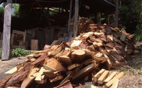 【人気！ベストセラーの小さなお魚たち】五島の名魚介の箸置きセット～桐のはし箱【秋村窯】[PEN004]