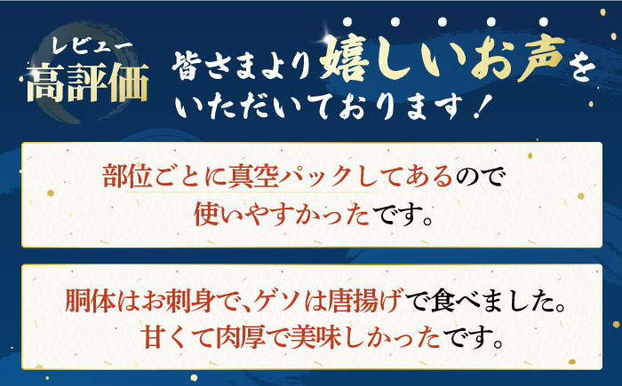 【イカの王様】アオリイカ 300g前後×4杯 肉厚 イカ 小分け 下処理済 冷凍 刺身 五島市/金沢鮮魚 [PEP005]