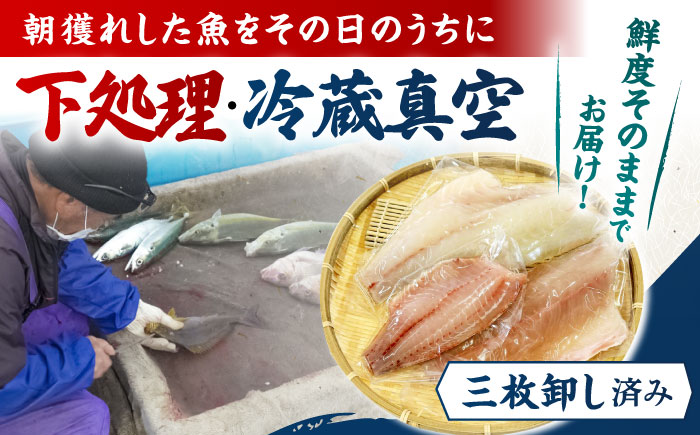 【冷蔵】【下処理済】鮮魚ボックス3種 五島市/金沢鮮魚[PEP007]  鮮魚 冷蔵 真空パック 新鮮 下処理済み 海鮮 刺身 お刺し身 お刺身 おさしみ セット 魚 魚介 魚介類 金澤仕立て  鮮魚 冷蔵 真空パック 新鮮 下処理済み 海鮮 刺身 セット
