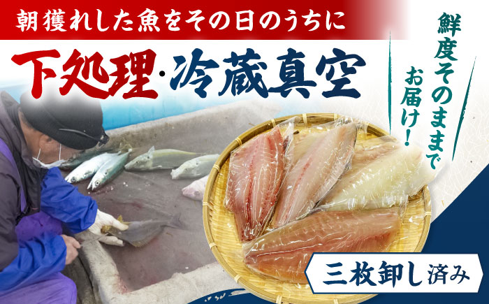 【6回定期便】【冷蔵】【下処理済】鮮魚ボックス4種 五島市/金沢鮮魚[PEP016] 金澤仕立て  鮮魚 冷蔵 真空パック 新鮮 下処理済み 海鮮 刺身 セット