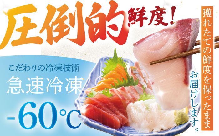 【3回定期便】【下処理済】超速冷凍鮮魚5種 五島市 / 金沢鮮魚[PEP019]